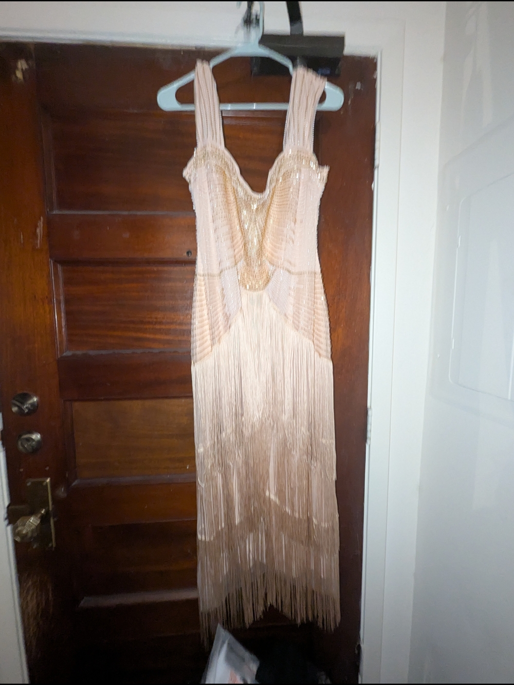 Elegant Blush Fringe Evening Dress - Picture 1 of 3